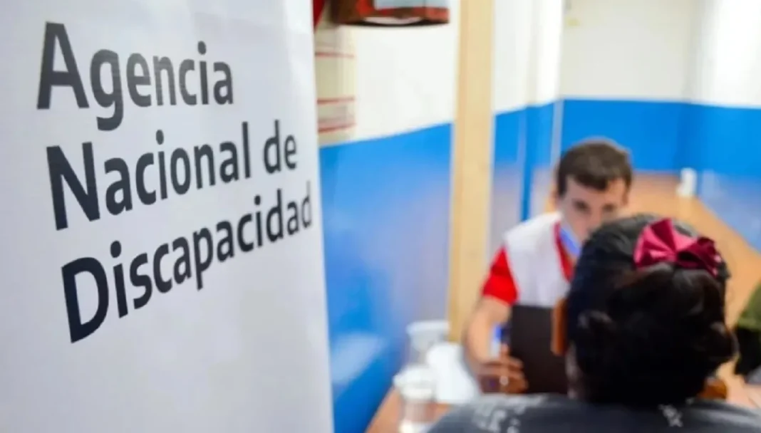 discapacidad-1068x608